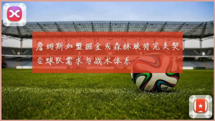 詹姆斯加盟掘金或森林狼将完美契合球队需求与战术体系